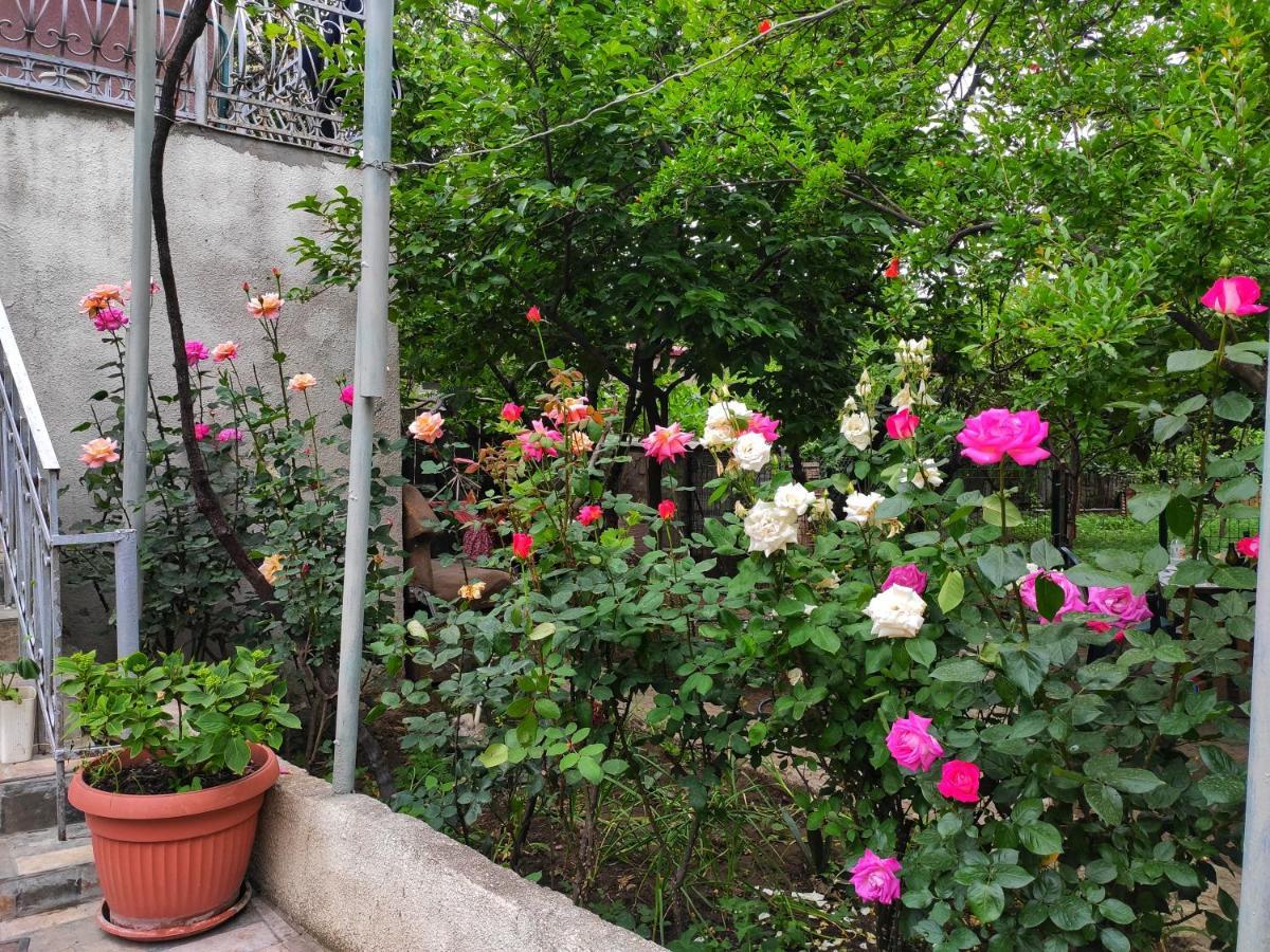Guesthouse Ttt Tiflis Dış mekan fotoğraf