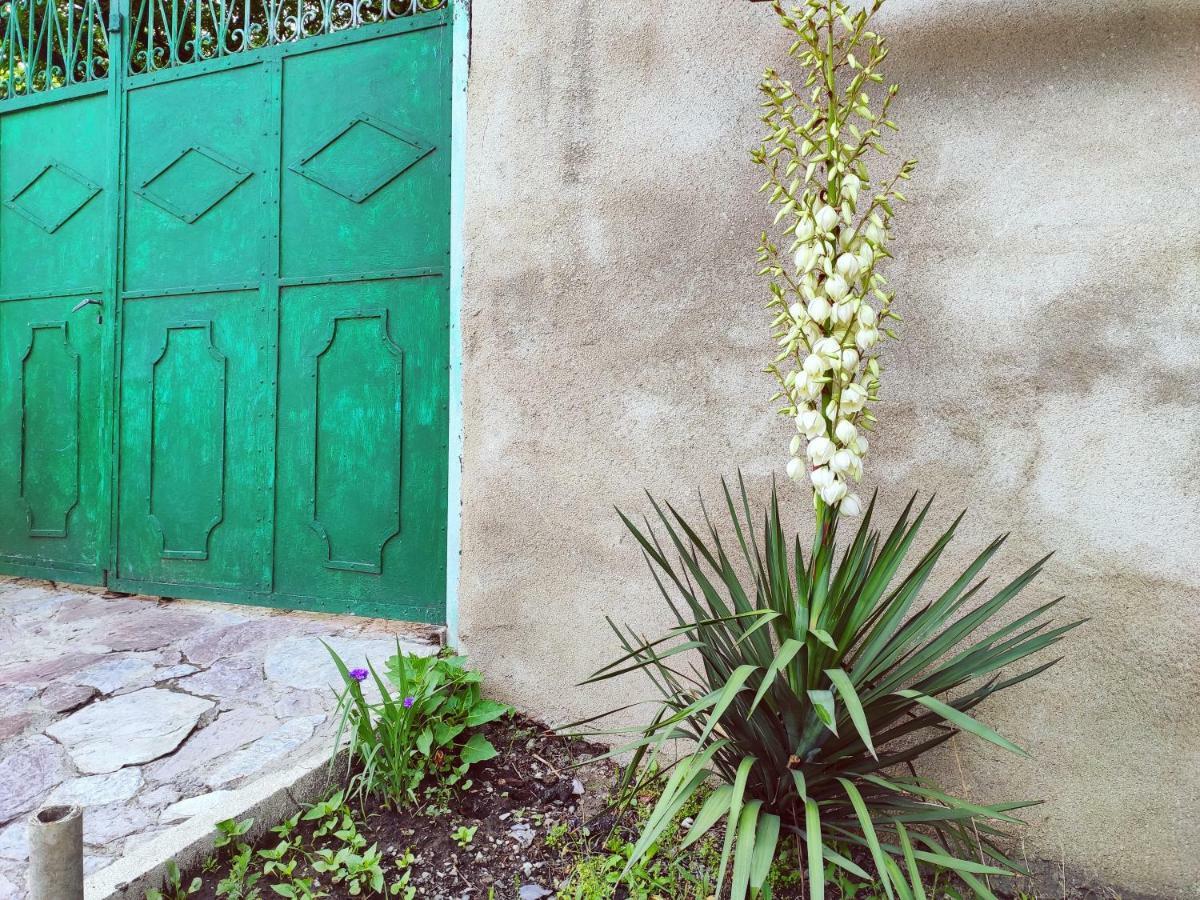 Guesthouse Ttt Tiflis Dış mekan fotoğraf